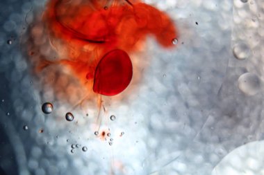 Soyut parlak kırmızı arkaplan. Kırmızı kan hücresine benziyor ama sadece kırmızı boya yağı. 