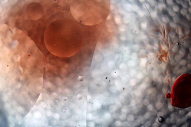 Soyut parlak kırmızı boya arkaplanı. Kırmızı kan hücresine benziyor ama sadece kırmızı boya yağı. 