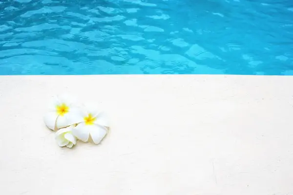 Frangipani Blume Tropischen Pool Spa Resort Hintergrund Mit Kopie Raum — Stockfoto