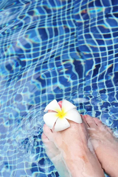 Hermosos Pies Femeninos Fondo Viaje Piscina Con Flores Blancas Spa —  Fotos de Stock