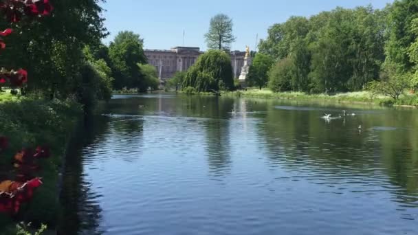 London 2020 Buckingham Palace Home Queen Lake River Green Park — стоковое видео