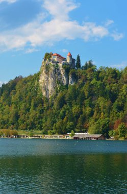 Slovenya 'daki Kanlı Kale Manzarası