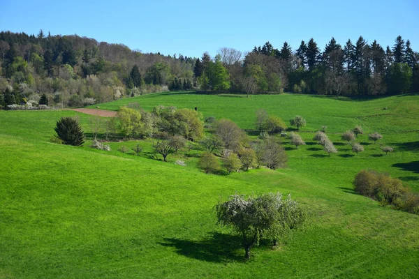 Beautiful landscape in spring in the Odenwald, Germany. — Stock Photo, Image