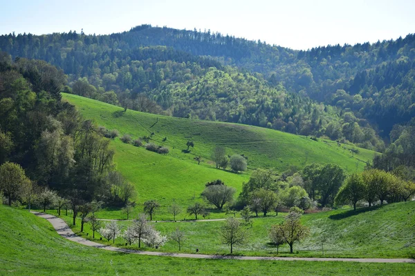 Beautiful landscape in spring in the Odenwald, Germany. — Stock Photo, Image