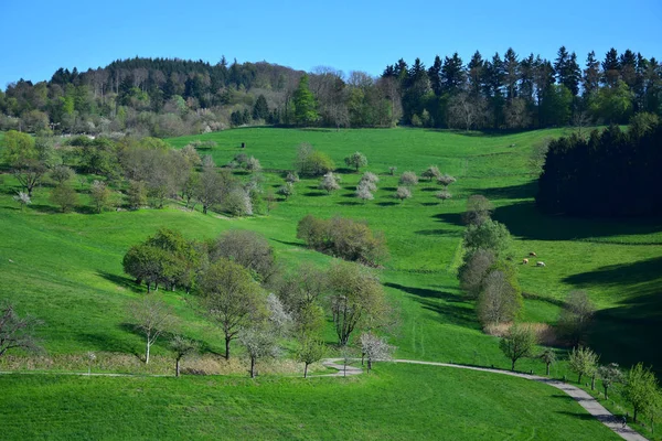 Beautiful landscape in spring in the Odenwald, Germany. — Stock Photo, Image