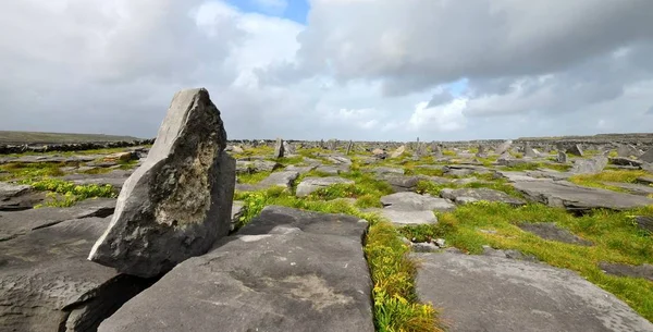 Kameny na Inishmore, jeden z Aran ostrovů. Irsko. — Stock fotografie