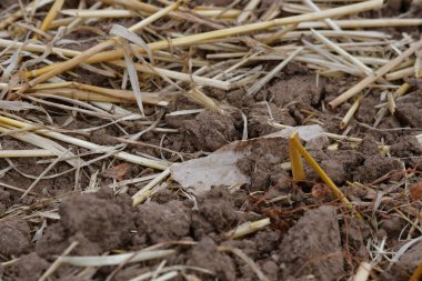 Bir alanda plastik folyo bir parça.