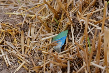 Bir alanda plastik folyo bir parça.