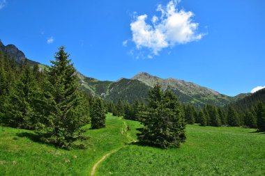 Slovakya'da Belianske Tatry bir manzara.