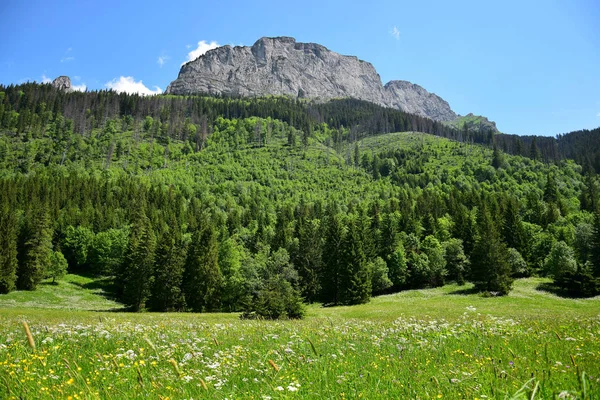 A landscape in the Belianske Tatry in Slovakia. — Stock Photo, Image