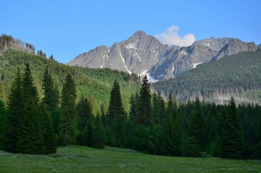 Slovakya'da Belianske Tatry bir manzara.