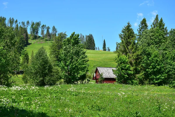Een landschap in de Belianske Tatry met een klein houten huis. Slowakije. — Stockfoto