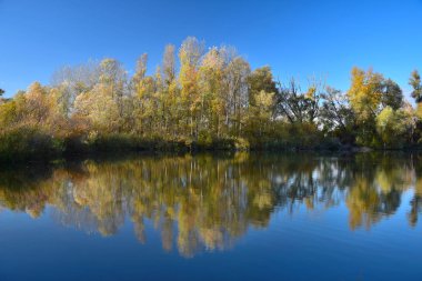 Gölü ve ağaçları olan güzel bir sonbahar manzarası..