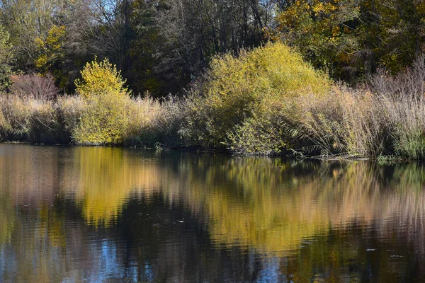 Hermoso paisaje otoñal con un lago, árboles y arbustos amarillos . —  Fotos de Stock