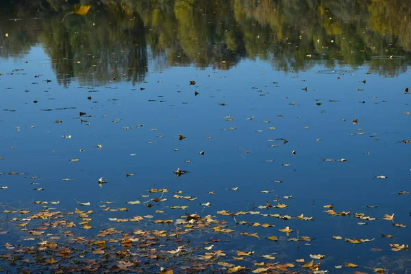 Herbstblätter in einem See und die Reflexion der Bäume. — Stockfoto