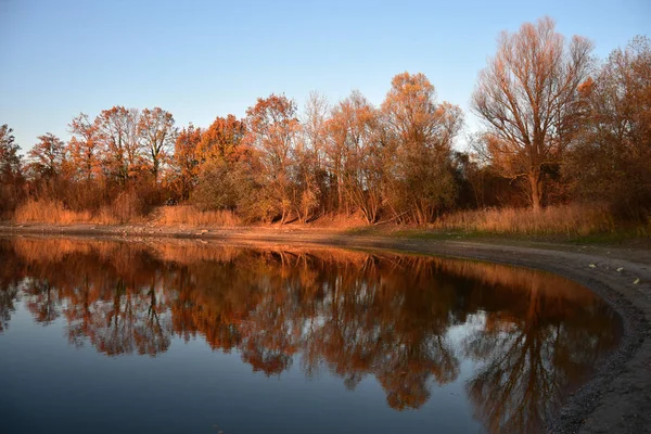 Φθινόπωρο τοπίο με μια λίμνη και δέντρα στο φως του ήλιου το βράδυ. — Φωτογραφία Αρχείου