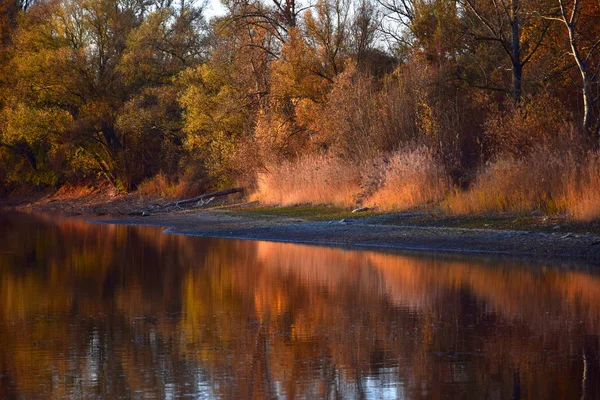 Paisaje otoñal con un lago y árboles a la luz del sol de la noche . — Foto de Stock