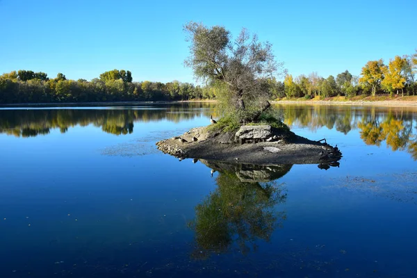 Autumn landscape with a small island in a lake with some geese. — Stock Photo, Image