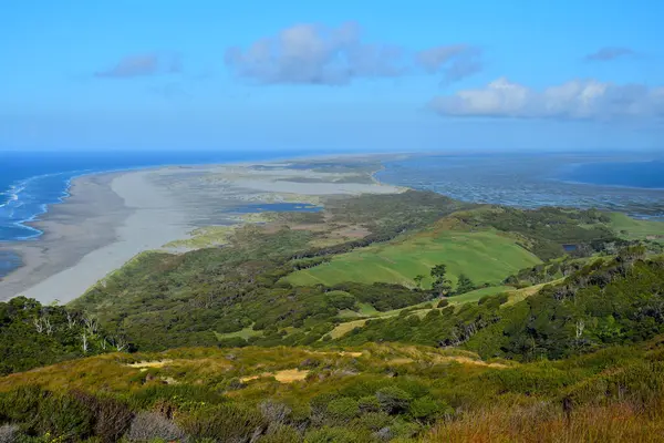 Bellissimo Paesaggio Della Nuova Zelanda Vista Addio Spit Alberi Prati — Foto Stock