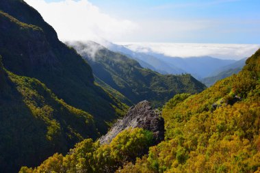 Madeiran manzarası. Rabacal yakınlarındaki bir vadide kayalar, renkli yeşil ve sarı ağaçlar. Madeira, Portekiz.