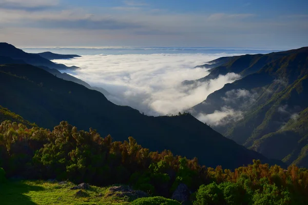 Madeirai Táj Egy Völgyben Rabacal Közelében Felhők Jönnek Madeira Portugália — Stock Fotó