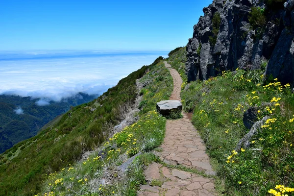 Uma Trilha Sobre Nuvens Caminho Pico Ruivo Madeira Portugal Flores Fotografias De Stock Royalty-Free