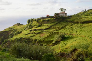 Tepede birkaç evi olan Madeiran manzarası. Portekiz.