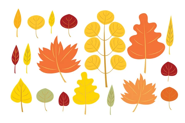 Sonbahar Yaprakları