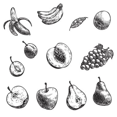 Çeviri: nazo82 Shagrathian