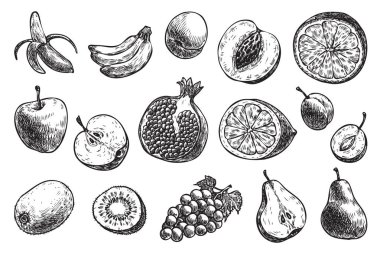 Çeviri: nazo82 Shagrathian