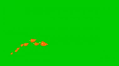 Canlandırılmış sonbahar kırmızı yaprakları soldan sağa uçar. Altın sonbahar. Yeşil arka planda izole edilmiş uçan yapraklar dalgası.