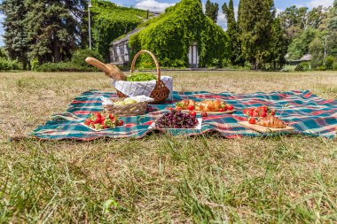 Bir ekose yiyecek ve piknik bir yaz park arka planda için aperatifler ile görünümünü