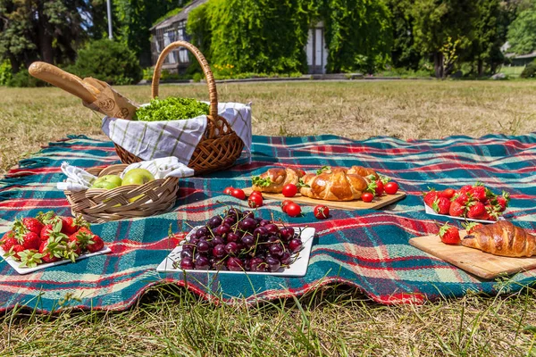 Bir ekose yiyecek ve piknik bir yaz park arka planda için aperatifler ile görünümünü