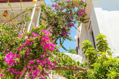 Güzel yaz sokaklarında Kalkan, Antalya, Türkiye