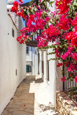 Picturesque summer streets of Kalkan, Antalya, Turkey clipart