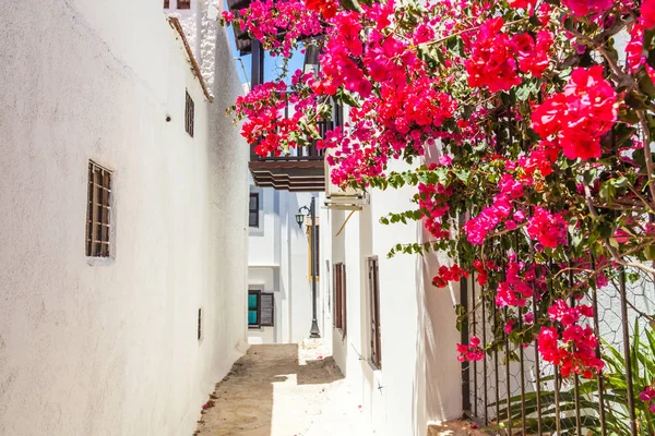Pintorescas Calles Verano Kalkan Antalya Turquía — Foto de Stock