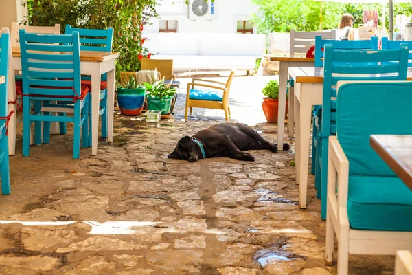Güzel yaz sokaklarında Kalkan, Antalya, Türkiye