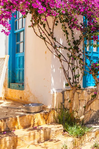Güzel yaz sokaklarında Kalkan, Antalya, Türkiye