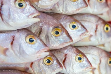 Çeşitli taze balık ve deniz ürünleri, Balık pazarı