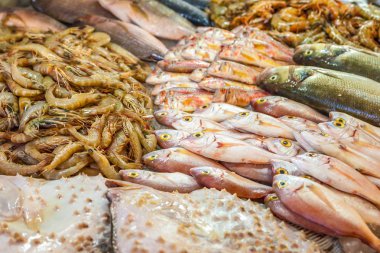 Çeşitli taze balık ve deniz ürünleri, Balık pazarı