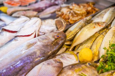 Çeşitli taze balık ve deniz ürünleri, Balık pazarı
