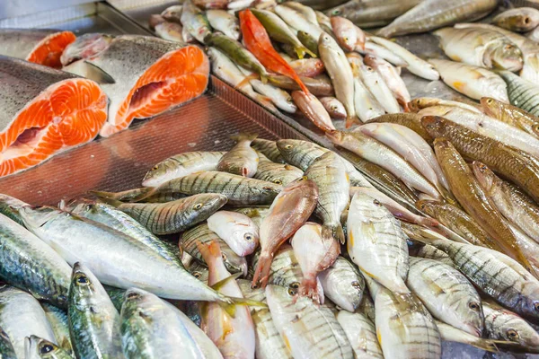 Vários Peixes Frescos Frutos Mar Mercado Peixe — Fotografia de Stock