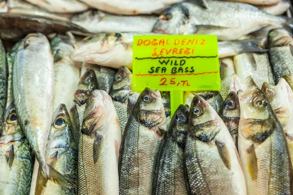 Varios Pescados Mariscos Frescos Mercado Pescado —  Fotos de Stock