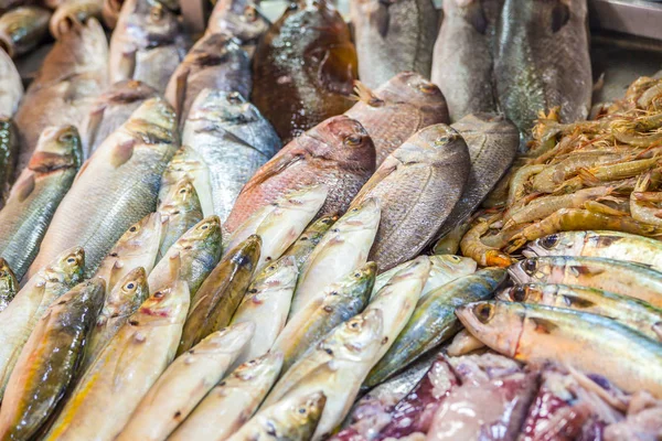 Varios Pescados Mariscos Frescos Mercado Pescado —  Fotos de Stock