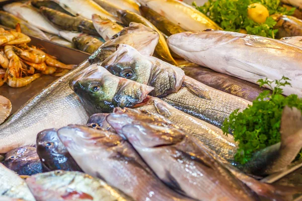 Varios Pescados Mariscos Frescos Mercado Pescado —  Fotos de Stock