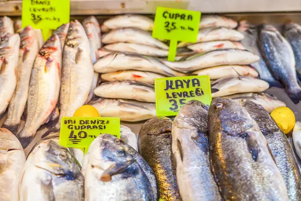 Vários Peixes Frescos Frutos Mar Mercado Peixe — Fotografia de Stock