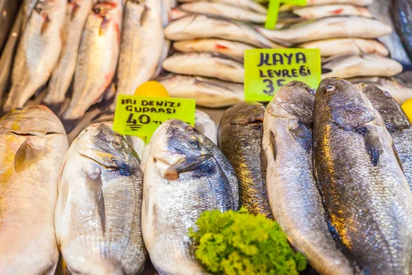 Vários Peixes Frescos Frutos Mar Mercado Peixe — Fotografia de Stock