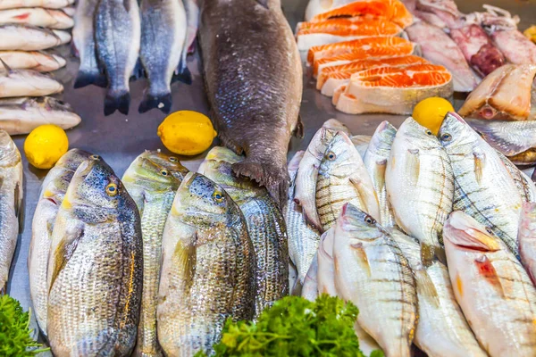 Varios Pescados Mariscos Frescos Mercado Pescado —  Fotos de Stock