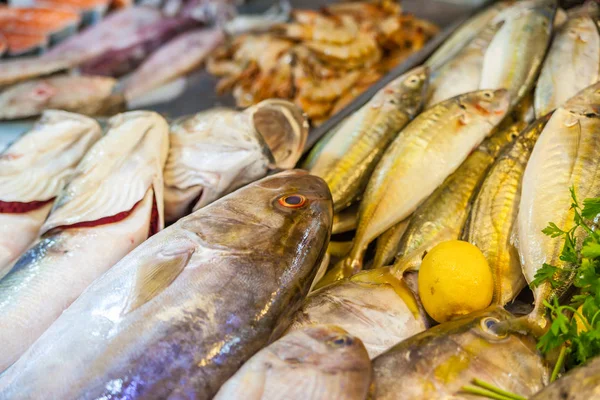 Various Fresh Fish Seafood Fish Market — Stock Photo, Image