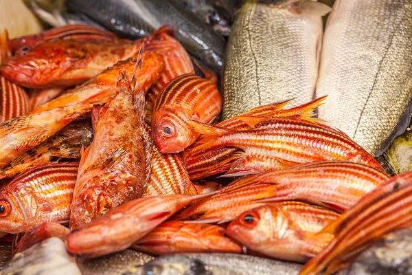 Vários Peixes Frescos Frutos Mar Mercado Peixe — Fotografia de Stock